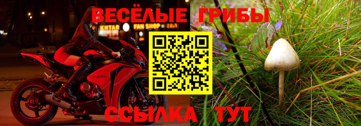 Костомукша  Псилоцибиновые грибы Psilocybe  Вход с VPN 
